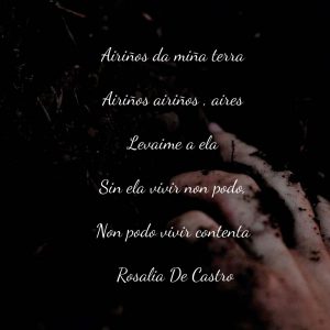 SENTIR A TERRA
